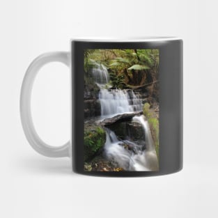 Myrtle Falls, Mt Wellington, Tasmania Mug